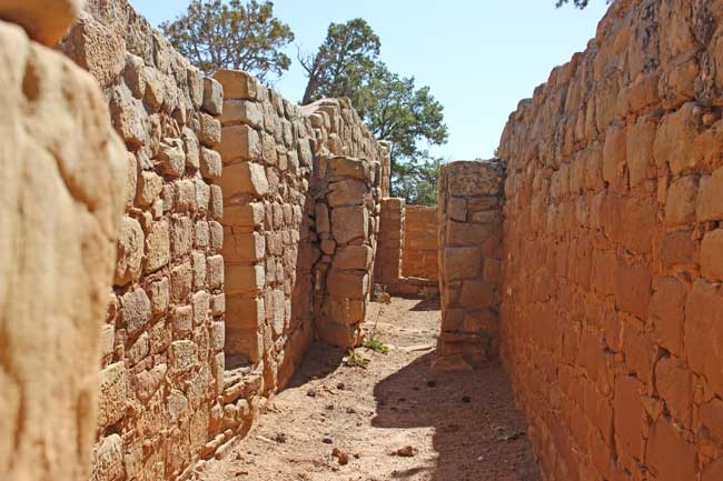 More than 5,000 Ancestral Puebloan structures remain in Mesa Verde National Park. Photo by Janna Graber 