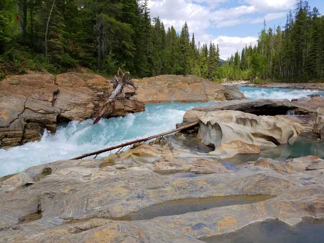 The Blaeberry River below Thompson Falls. Photo by Carrie Dow