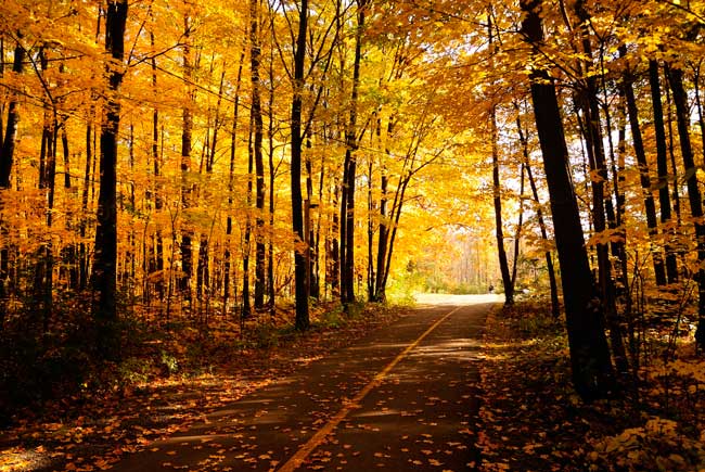 Where to see fall foliage in Vermont