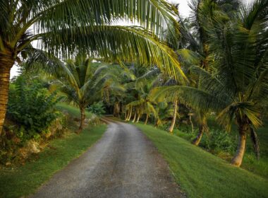 Road in Jamaica. Photo by Lyncoln Miller, Pexels