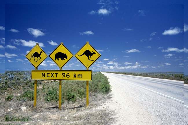 Best road trips in Australia