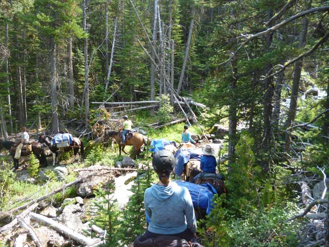 Crossing the creek with pack horses. Photo by Linda Ballou 