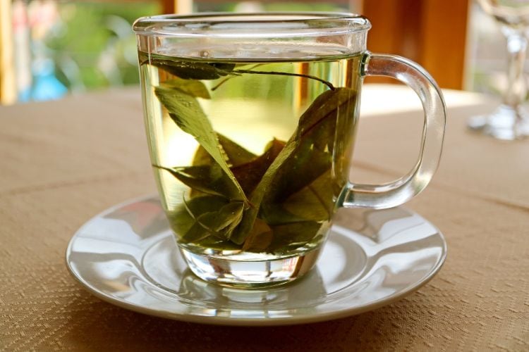 Cup of coca leaf tea