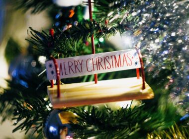 Christmas ornaments for travel lovers