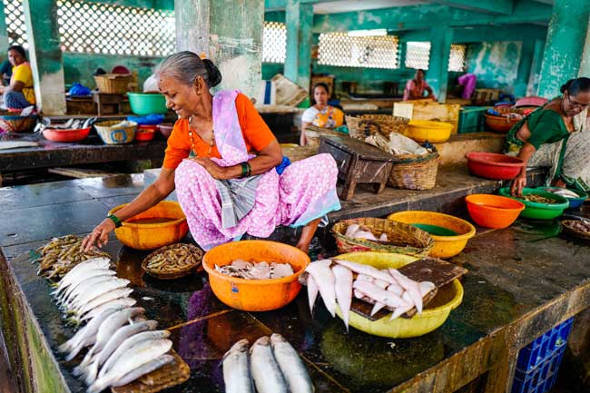 Visiting a fish market in South India