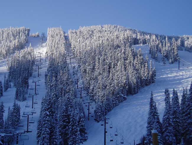 A fresh foot of powder at Winter Park Ski Resort in Colorado. Flickr/Greg Younger