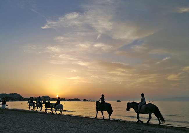 Horseback riding along the beach in Corfu. Photo by S. Geyerhofer