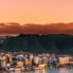 Wellington, New Zealand. Photo by Sulthan Auliya, Unsplash, Pinterest