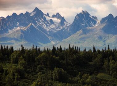 Alaskan forest and mountains.