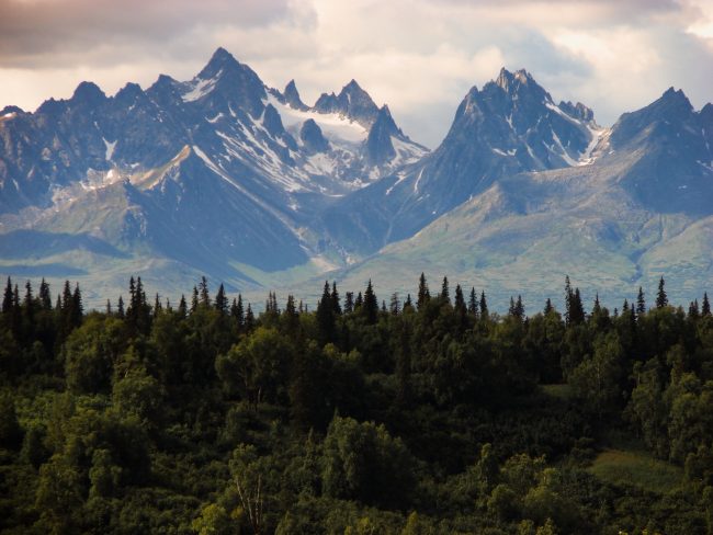 Alaskan forest and mountains.