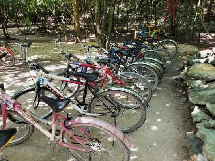 The colorful bikes for rent at Coba, Mexico. Photo by Carrie Dow.