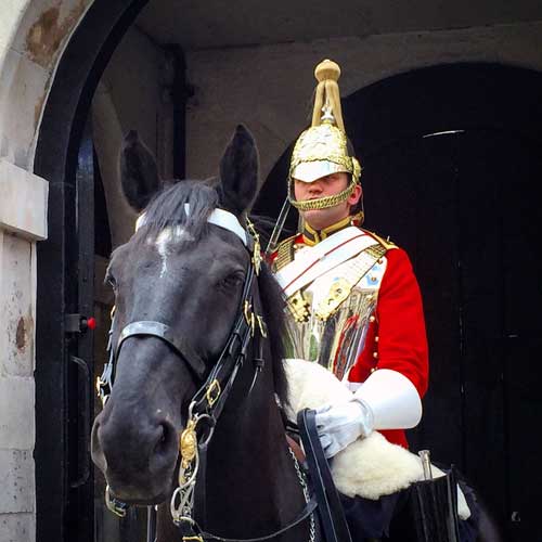 Horse guard. Photo by Rich Grant