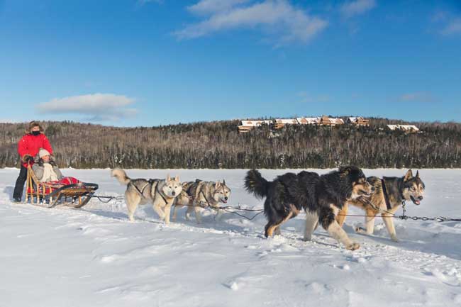 Dogsledding across frozen Lake Sacacomie, with Hotel Sacacomie in the background. Photo by Tourisme Mauricie