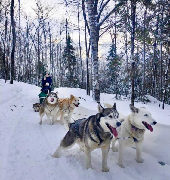 Hundeschlittenfahrten sind eine unterhaltsame Art, den Winter in Quebec zu erleben.