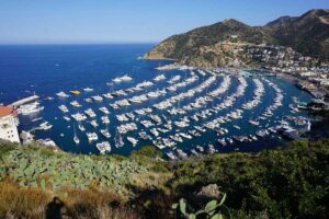 California Outdoors: Hiking on Catalina Island