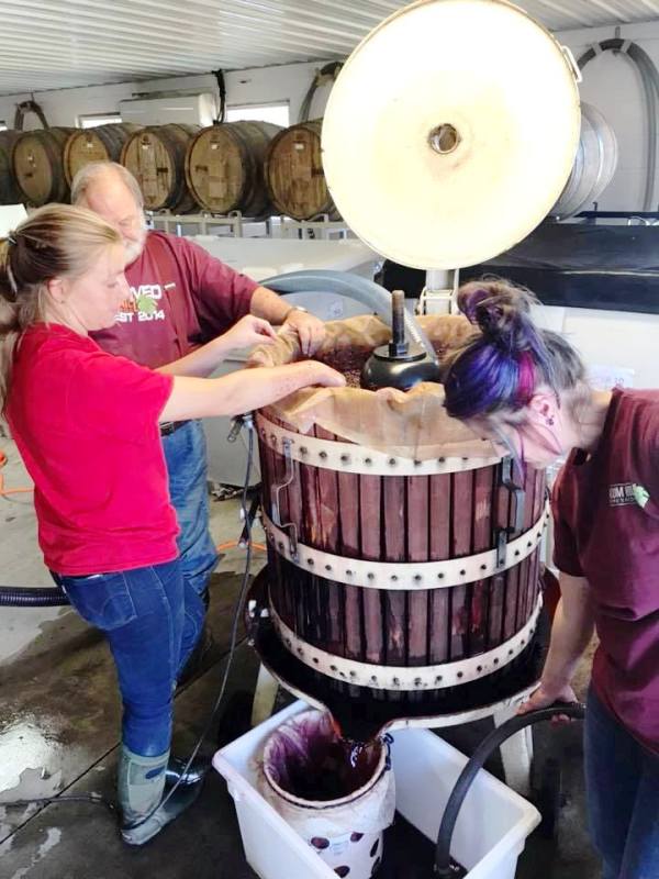 Pressing grapes at Plum Hill Winery in Tualatin Valley, Oregon Photo by Victor Block