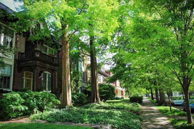 The huge houses lining the streets of Old Louisville are where the city’s Titans of Tobacco and Barons of Bourbon once resided. Photo by Go to Louisville