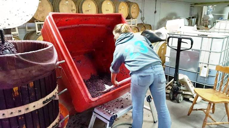 Hands-on Wine-making at Plum Hill Winery Photo by Victor Block