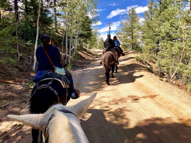 Riding mules to Cloud Camp. Photo by Claudia Carbone