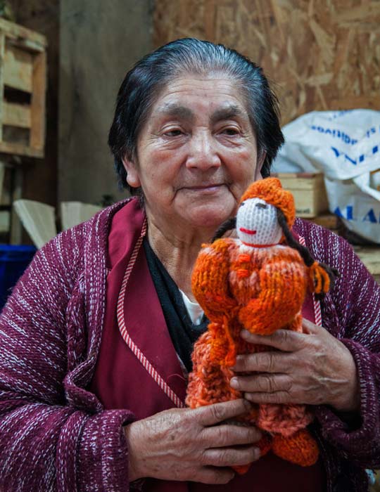 Sheep ranching on Chiloé has created a thriving knitting community. These hand-knit woolen dolls are a popular item for sale in Chiloe’s markets, Chiloé, Chile. ©Steve Haggerty/ColorWorld