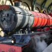 The Hogwarts Express is a train leaving from Platform 9 3/4 going to Hogswarts School of Witchcraft and Wizardry. Photo by Liana Moore/Insider Families