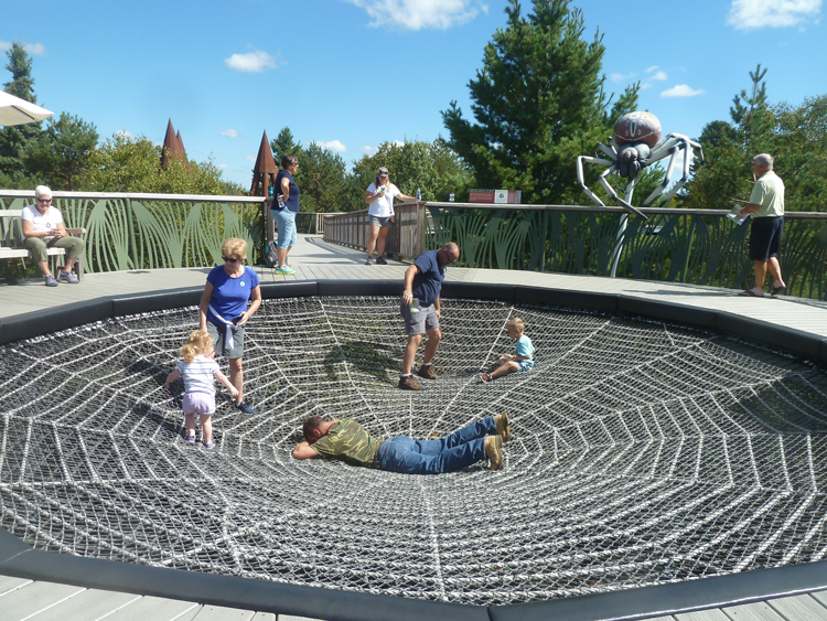 Spider exhibit at The Wild Center in the Adirondacks.