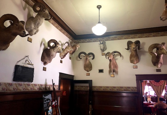 Diese Trophäenköpfe hängen in der Lobby. Foto von Claudia Carbone
