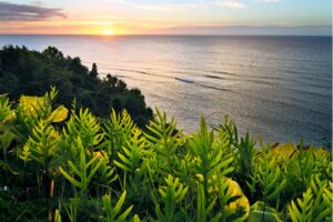 Paradise on the Cheap: Budget Travel in Kauai
