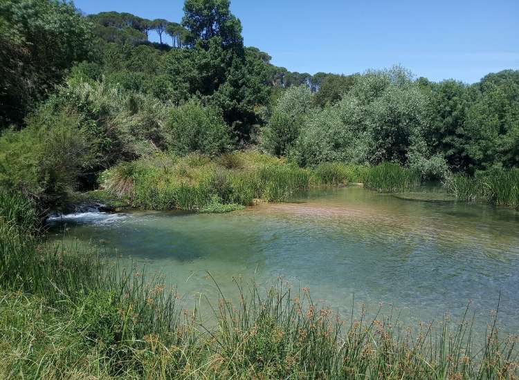 Lagoon at Serras de Aire e Candeeiros Natural Park. Photo by Stephen McNaught