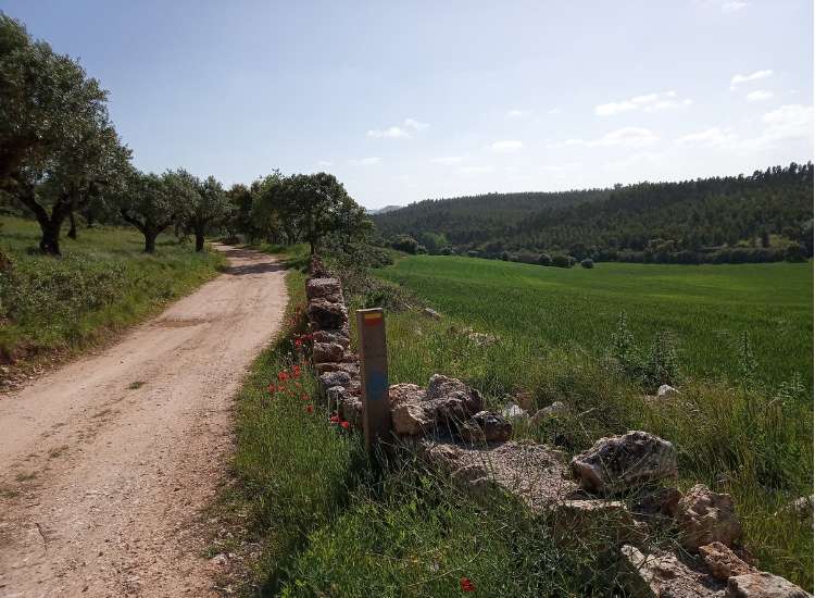 Path at Serras de Aire e Candeeiros Natural Park