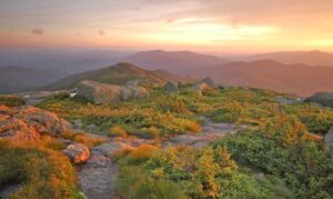 Summer in the Adirondacks