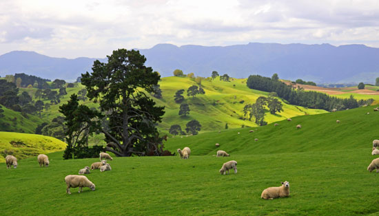 Travel writer Linda Duval has written about travel in New Zealand