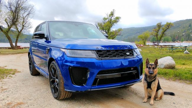 German Shepherd and range rover