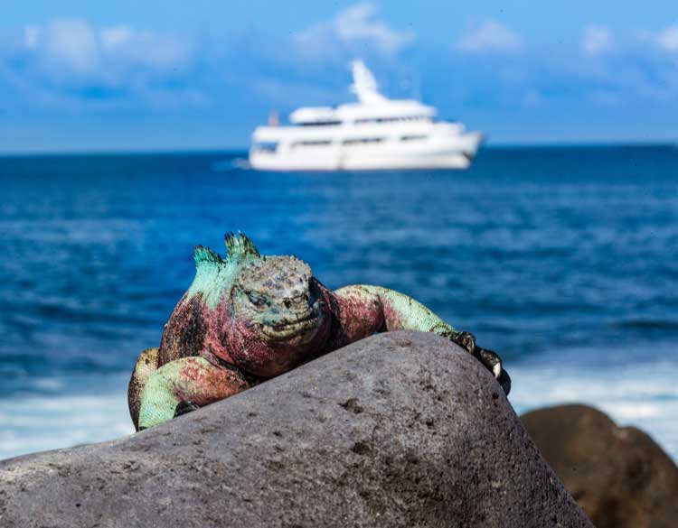 Crucero en barco pequeño por las Islas Galápagos