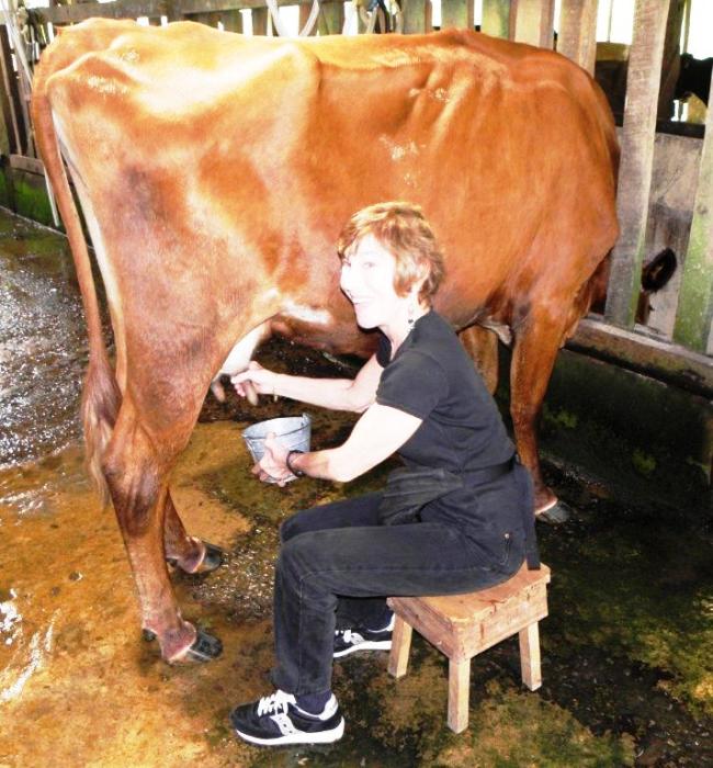 A Chance to Milk a Cow is Another Unexpected OAT Discovery. Photo by Victor Block