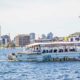 Seattle Duck Boat Tours