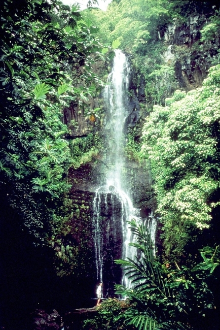 One of Many Waterfalls Along the Road to Hana in Maui, Hawaii. Photo by Fyllis Hockman