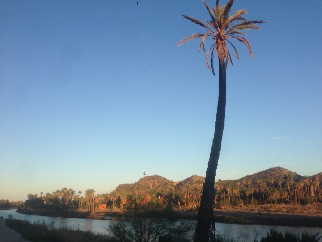 mulege- baja california sur- road trip-mulege river