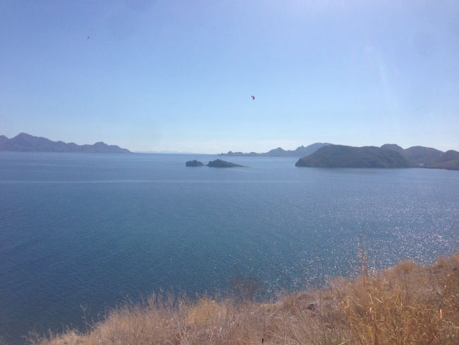 baja california sur- road trip- ocean- mulege- canada to mexico