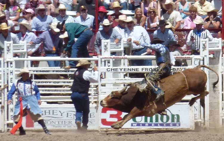 Bull riding at Cheyenne Frontier Days 