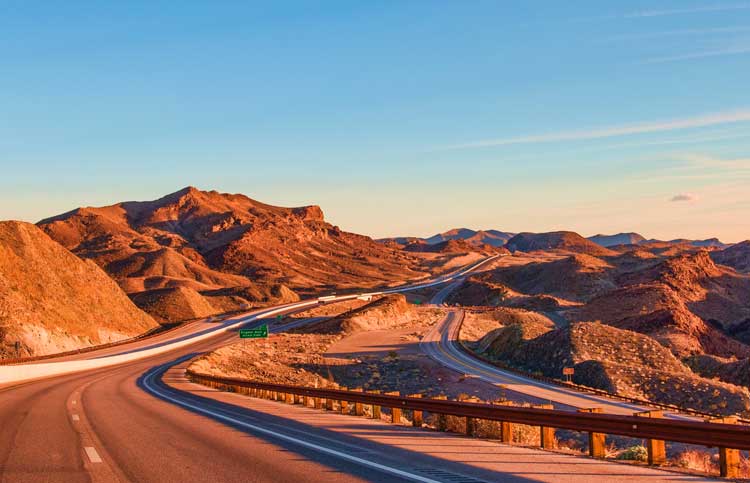 Desert beauty in Nevada