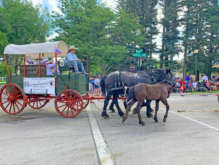 A foal walks along with her mother in the Cheyenne Frontier Days parade