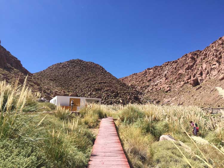 Hot springs in the Atacama Desert