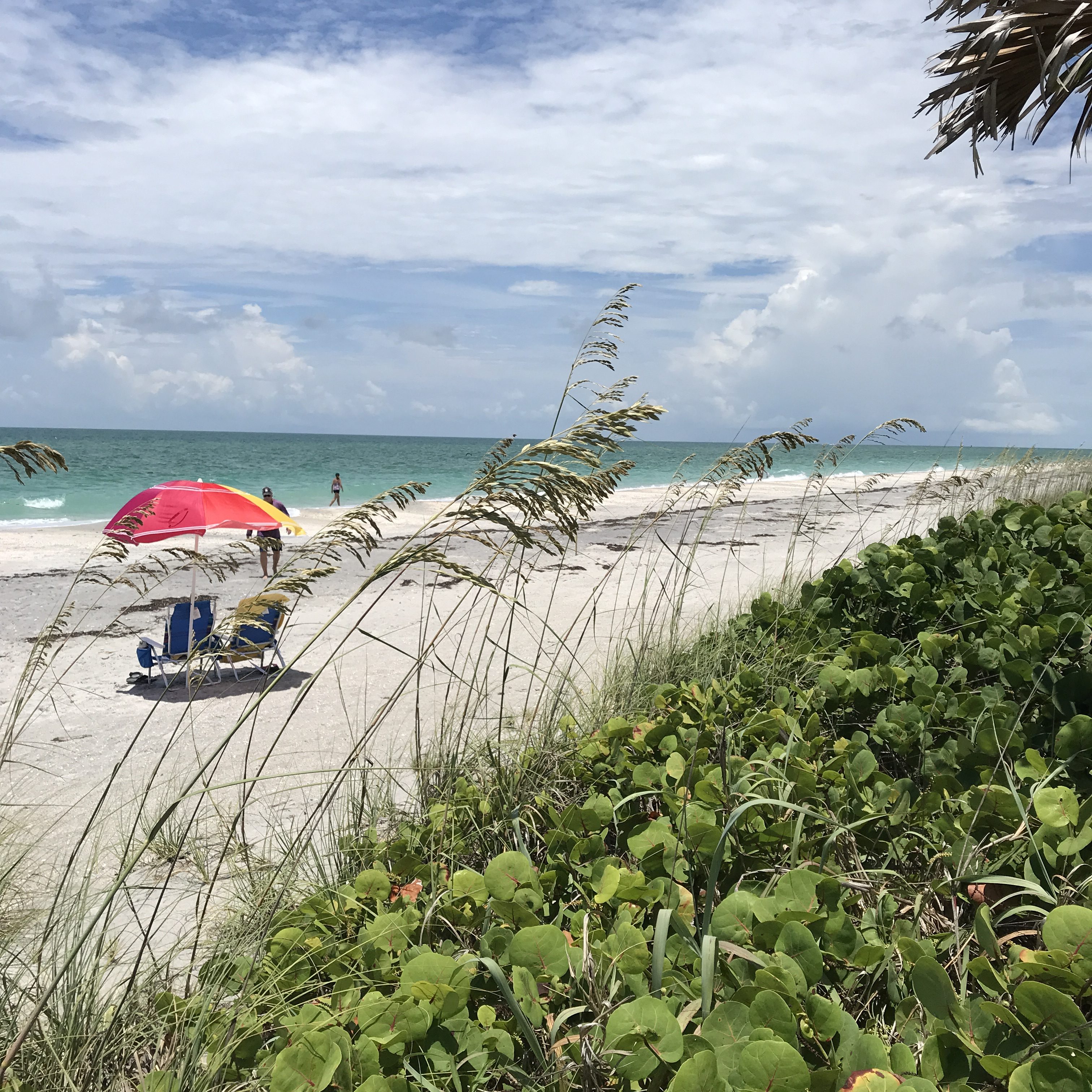 Don Pedro Island State Park. Photo by Jennifer Huber, RealFlorida.com.