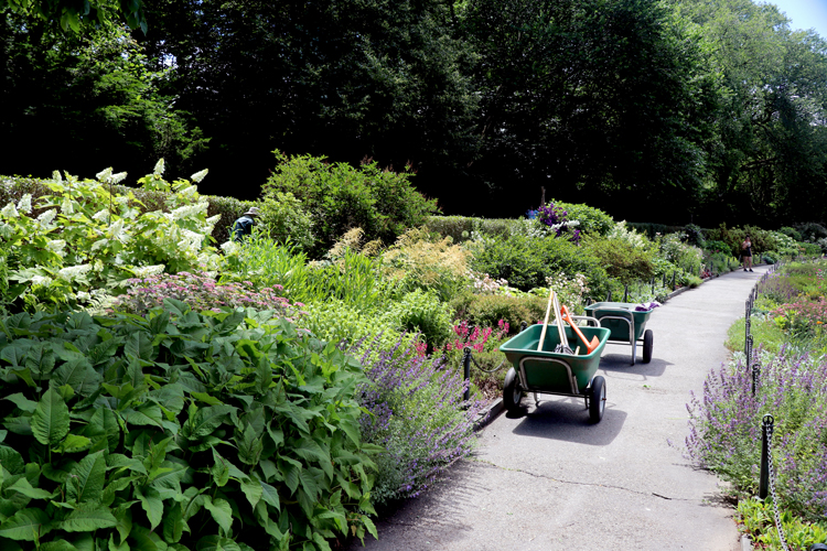 Heather gardens in Fort Tryon Park in NYC.