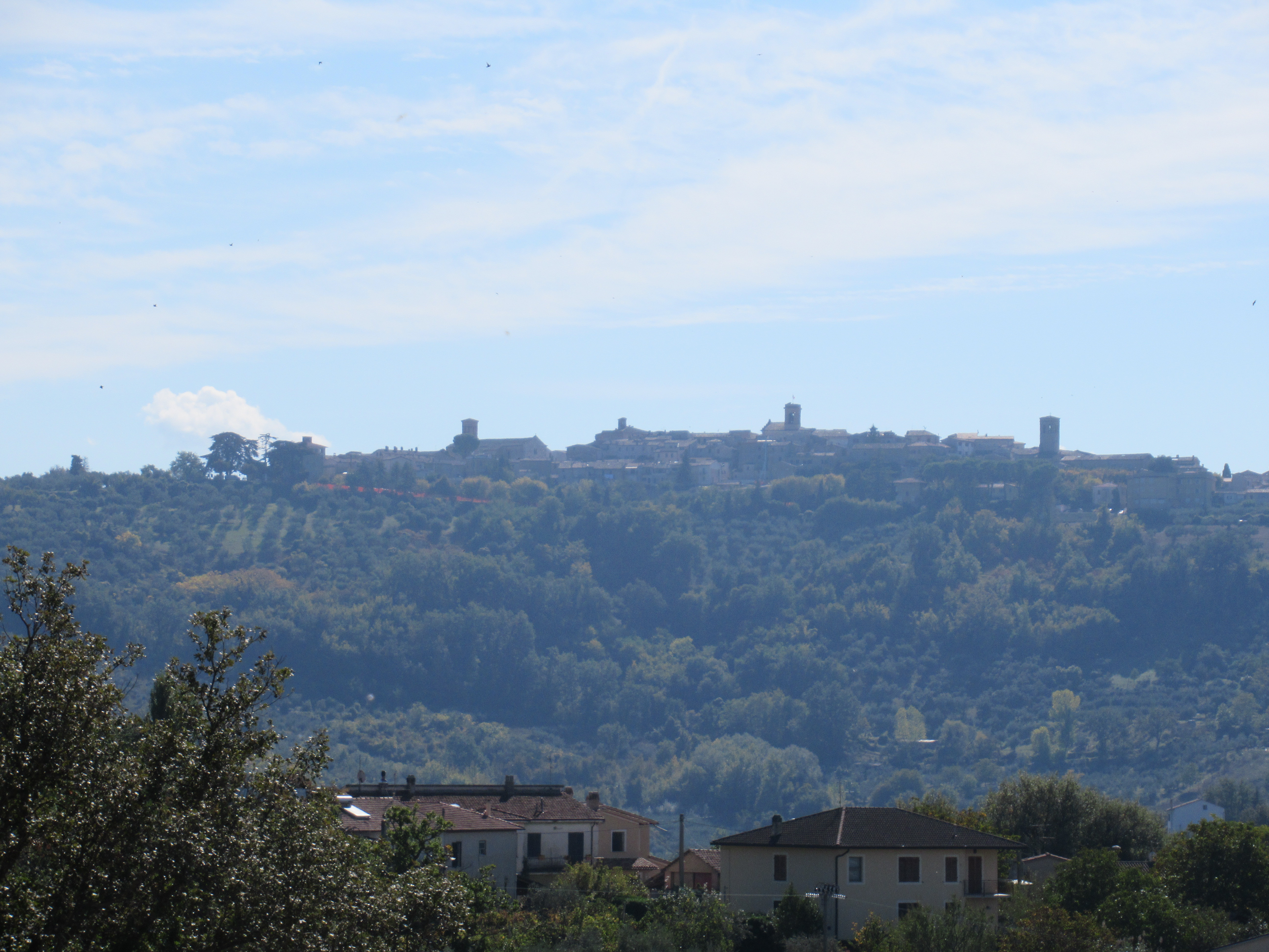 A view of Montefalco, "the balcony of Umbria," from the valley below. Photo by Heidi Davis.