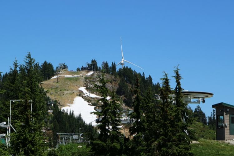 Grouse Mountain
