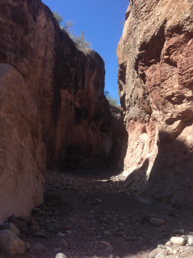 mexico- desert- cave painting tour- road trip- solo traveler- mulege- baja california