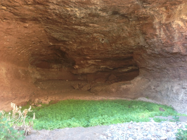 cave painting tour- mexico- road trip- baja california sur- mulege