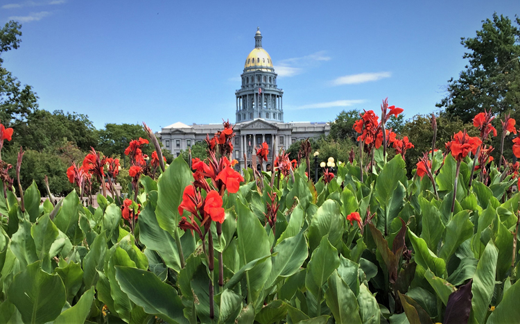 The sun shines brightly over the gold-domed Denver capitol building. 